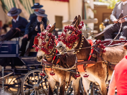 Elegant Horses Adorned for Seville’s April Fair Celebration