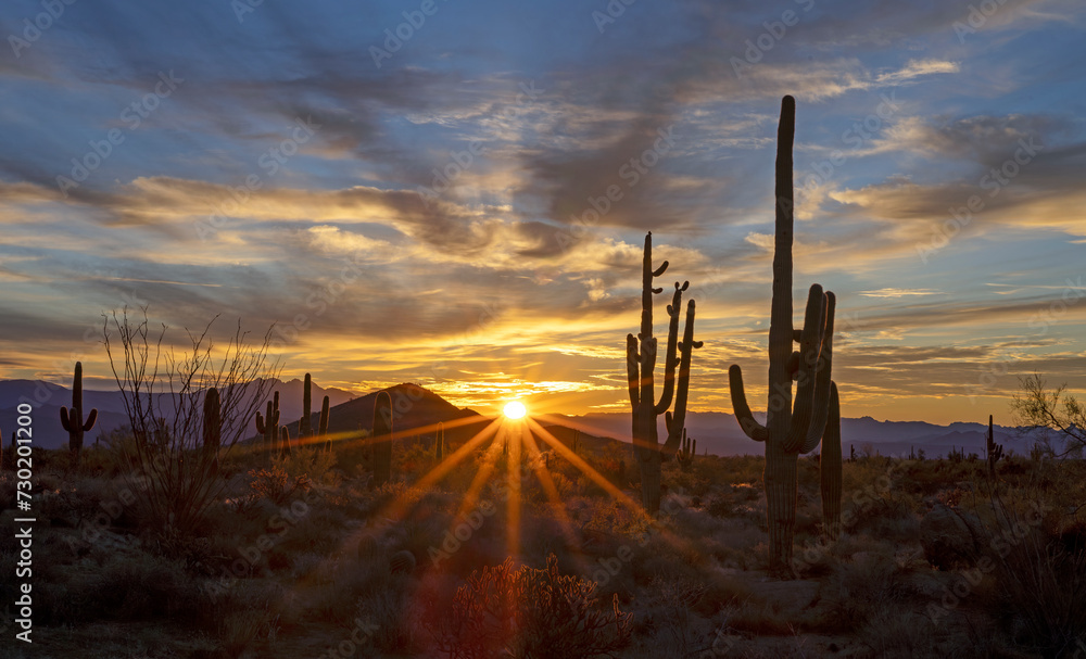 Desert Sunrise Sunrays Shining Down On Desert Floor With Cactus Silhouetted 
