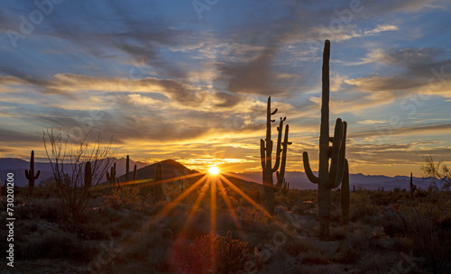 Desert Sunrise Sunrays Shining Down On Desert Floor With Cactus Silhouetted 