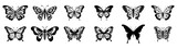 Butterfly vector illustration, black silhouette on white background. Moth with ornament on wings scrapbook graphic element