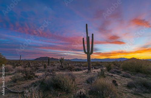 Desert Sunrise Along A Hiking & Mountain Biking In Scottsdale Arizona © Ray Redstone