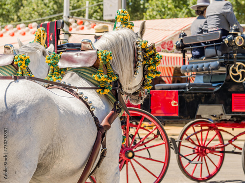 Elegant Horses Adorned for Seville’s April Fair Celebration