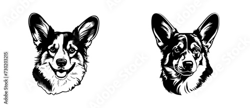 Pembroke Welsh Corgi dog breed head vector illustration. Pet portrait in style of hand drawn black doodle on white background