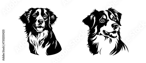 Australian Shepherd dog breed head vector illustration. Pet portrait in style of hand drawn black doodle on white background photo
