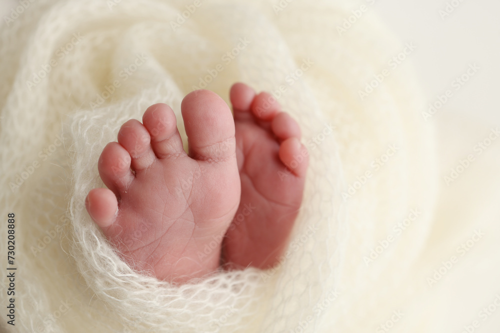 The tiny foot of a newborn baby. Soft feet of a new born in a wool white blanket. Close up of toes, heels and feet of a newborn. Macro photography. The tiny foot of a newborn baby. Soft feet of a new born in a wool white blanket. Close up of toes, heels and feet of a newborn. Macro photography.