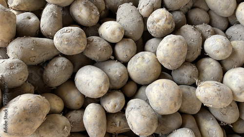 Potato background in the market. 