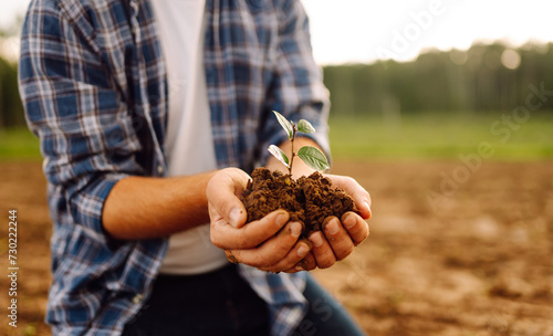Farmer in his hands with a sprout of young wheat. The concept of gardening, agriculture.