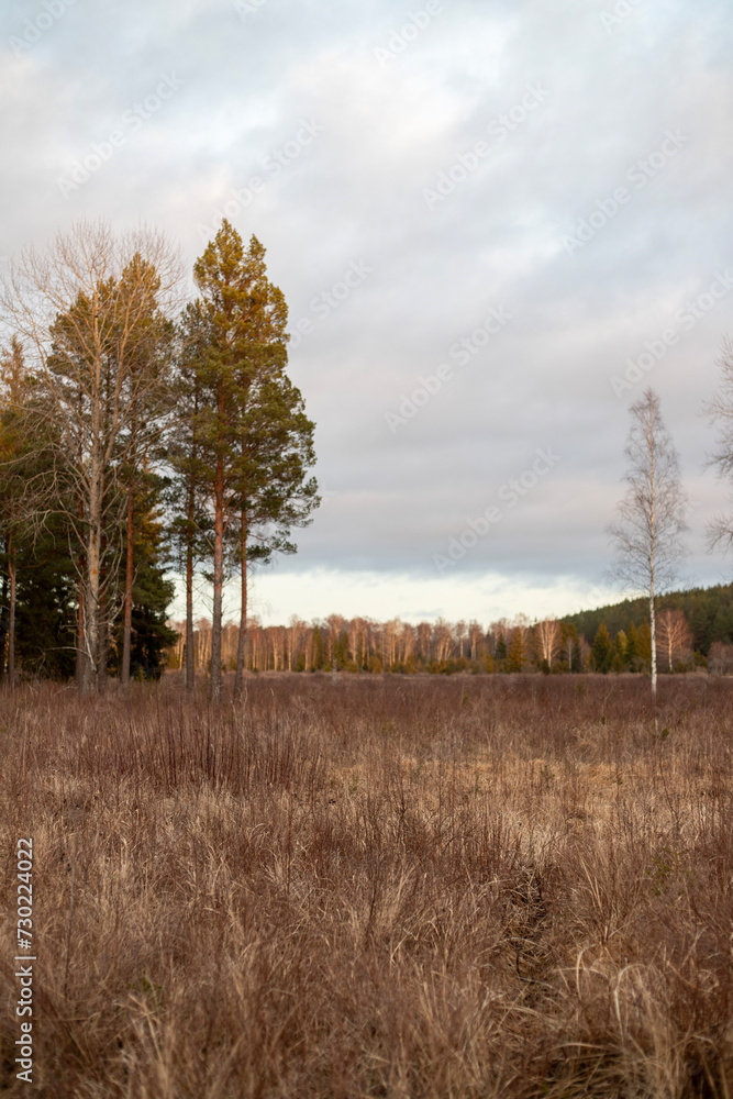 Twilight Hues Over a Grassland Clearing Twilight Hues Over a Grassland Clearing