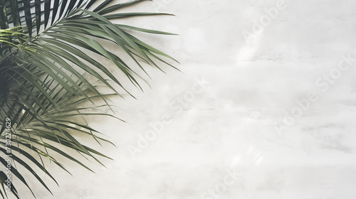 Palm Leaf Silhouette Backdrop