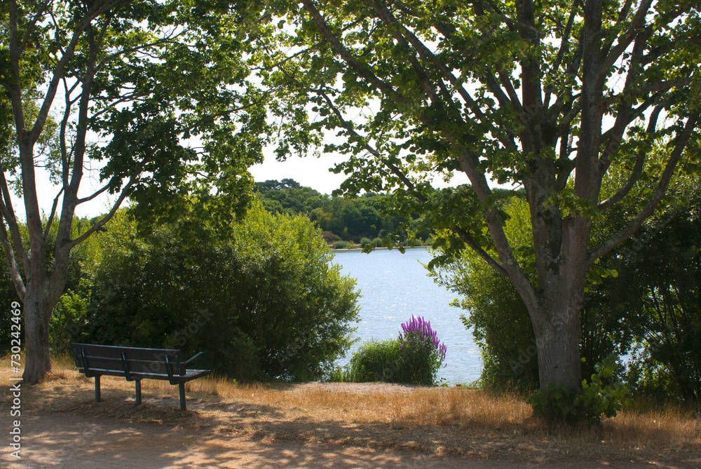Tranquil bench by the lake in the park peaceful and serene view of trees, bushes, and calm waters sunny day with blue sky and white clouds green field and lush foliage surrounding the bench Tranquil bench by the lake in the park peaceful and serene view of trees, bushes, and calm waters sunny day with blue sky and white clouds green field and lush foliage surrounding the bench