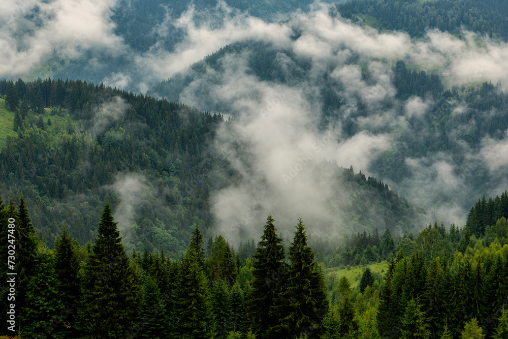 green mountains in a spruce forest and foggy clouds. minimalist landscape. Scandinavian style.