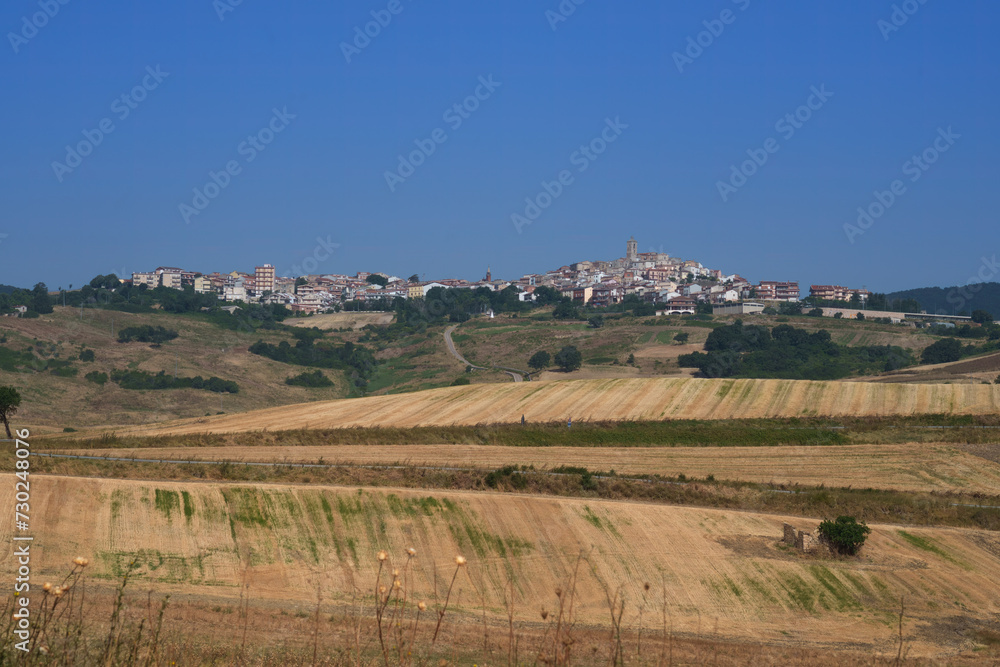 Fototapeta premium Country landscape near Motta Montecorvino, Apulia, Italy
