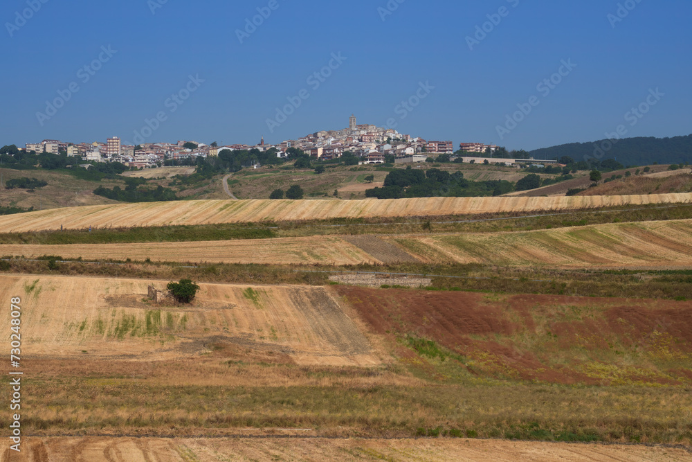 Country landscape near Motta Montecorvino, Apulia, Italy