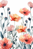 seamless pattern with poppies