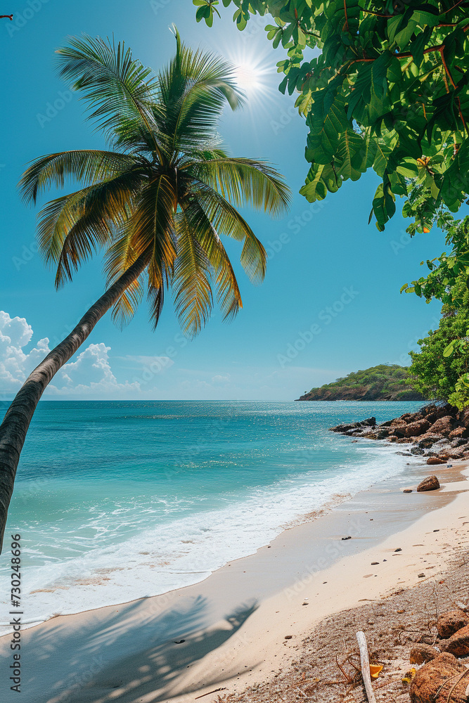 Obraz premium beach with palm trees
