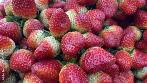 Ripe strawberries pile on a street market stall, Karachi Pakistan.