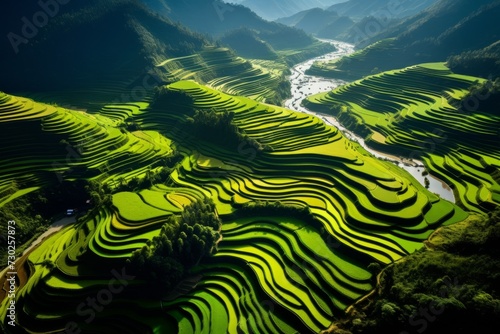 Aerial view capturing the breathtaking contours of terraced paddy fields