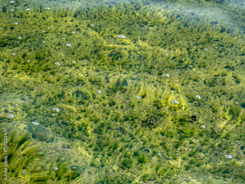 Abstract water surface of the sea with bubbles, reflections and green algae on seabed
