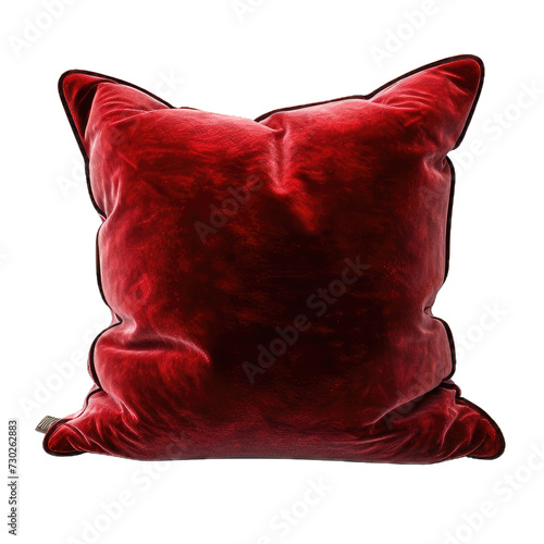 Velvet-Cushion-Luxurious-0.png 