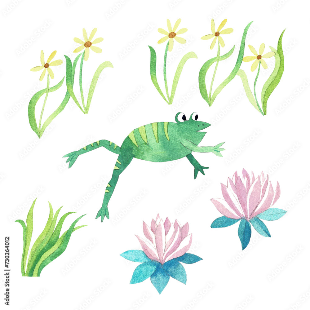 Fototapeta premium Watercolor set with frog and plants, on white background.