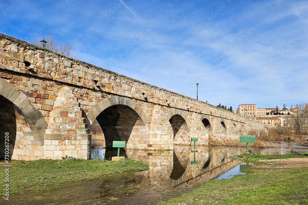 Photograph of the Roman bridge in Salamanca, during a flood of the Tormes River, with its stone arches and the grass around it.