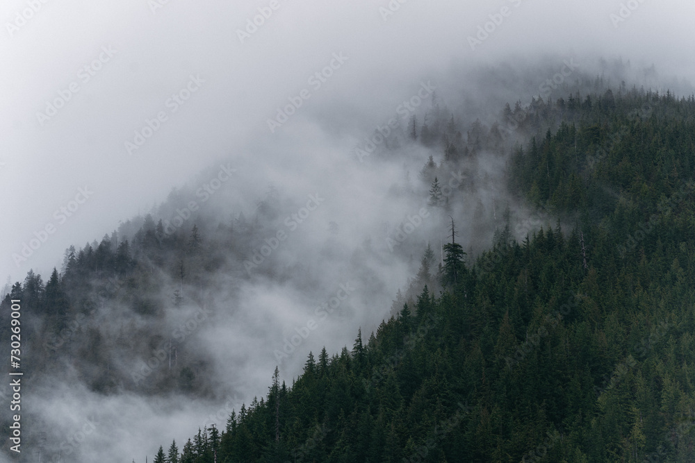 Gold Creek Trail in Ears Provincial Park in British Columbia, Canada