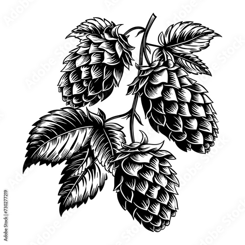 Silhouette of hop cones with leaves, vector illustration.