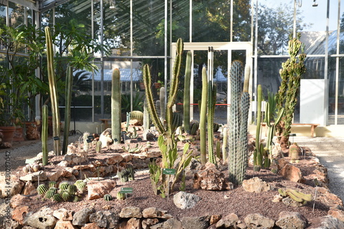 Jardin de cactus