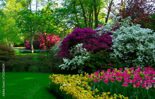 Fototapeta Naklejka Na Ścianę i Meble -  Garden with blooming spring flowers
