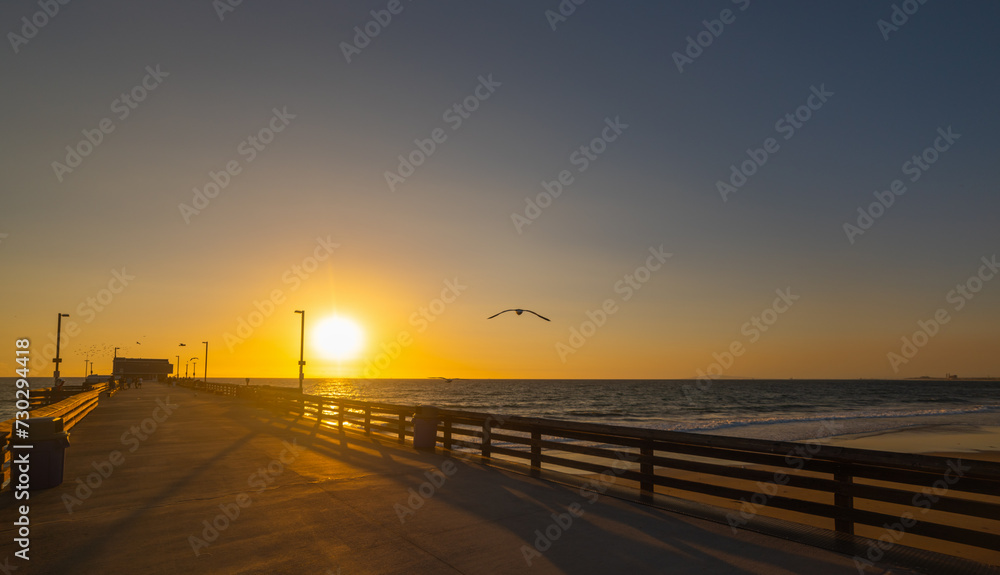 Seagull silhouette over a wooden pier in Los Angeles at sunset