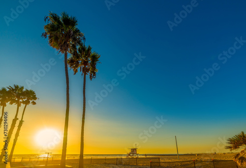 Palm trees and lifeguard tower in Newport Beach at sunset
