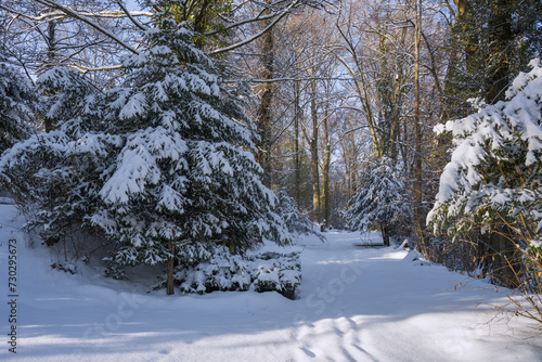 Wallpaper Mural Parkfriedhof, Winterwetter Schnee auf Ästen und Wegen Torontodigital.ca