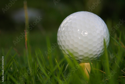 Golf balls and equipment on the grass