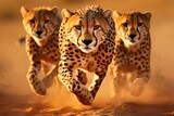 Cheetahs in action. thrilling hunt as majestic predators pursue antelope through african savannah