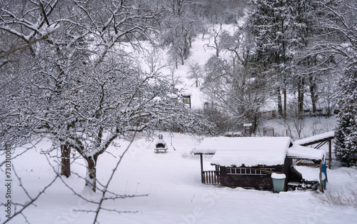 Winterwetter mit Schnee In Marburg  Ockershausen Heiliger Grund   Garten