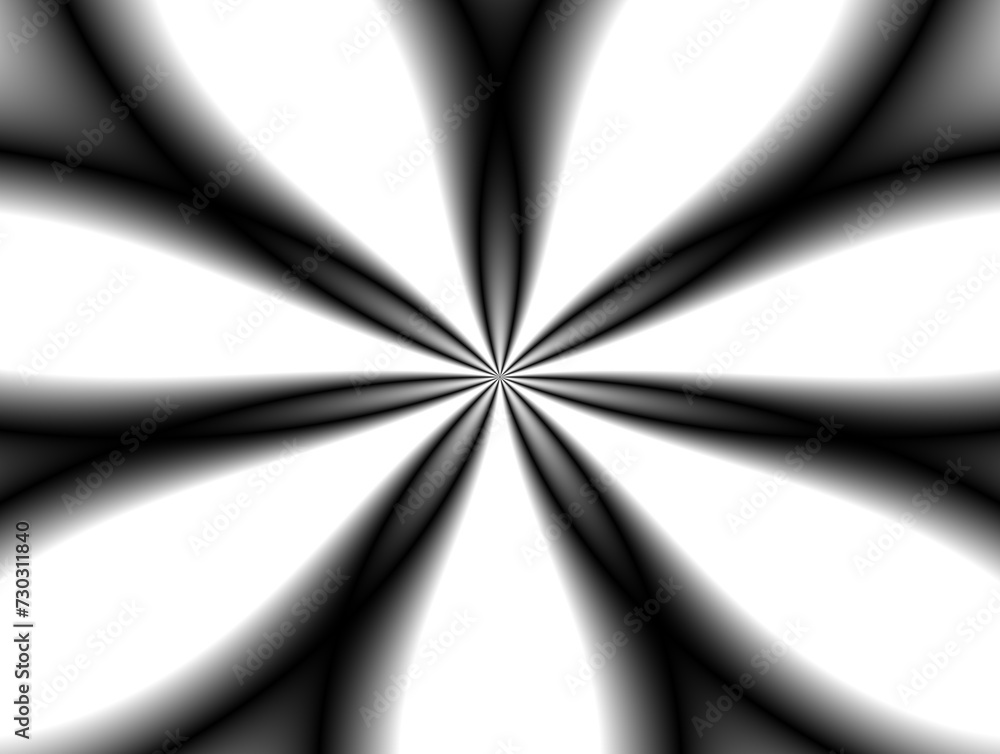 Promienisty kwiatowy kształt w biało czarnej kolorystyce z efektem rozmycia  - abstrakcyjne tło - obrazy, fototapety, plakaty 