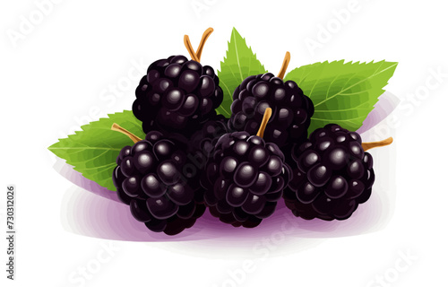 Blackberry vector flat minimalistic isolated vector style illustration