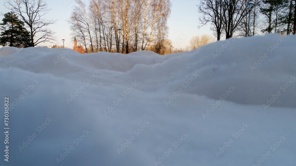 Obraz premium landscape with snow