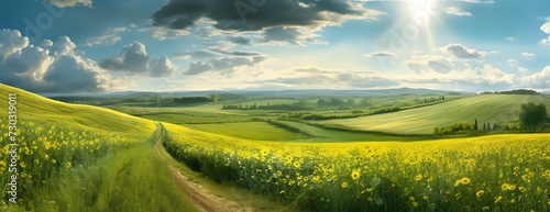 Green field with sunlight, nature landscape #730319011