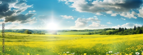 Green field with sunlight, nature landscape