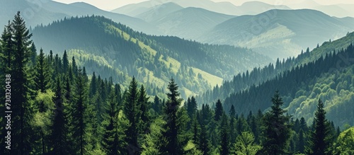 Northern woodland scenery, viewed from above, with green pine forest and dark spruce trees on mountain hills. © 2rogan