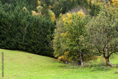 Jesień w górach. Wiatr porywa liście z drzew © Lancan