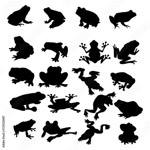 Cute frog SVG, SVG for Cricut and Silhouette photo