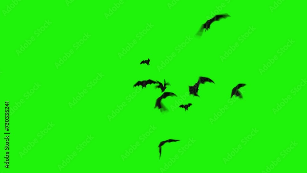 Realistic Bats Flying Toward Viewer Green Screen 4K Loop features bats
