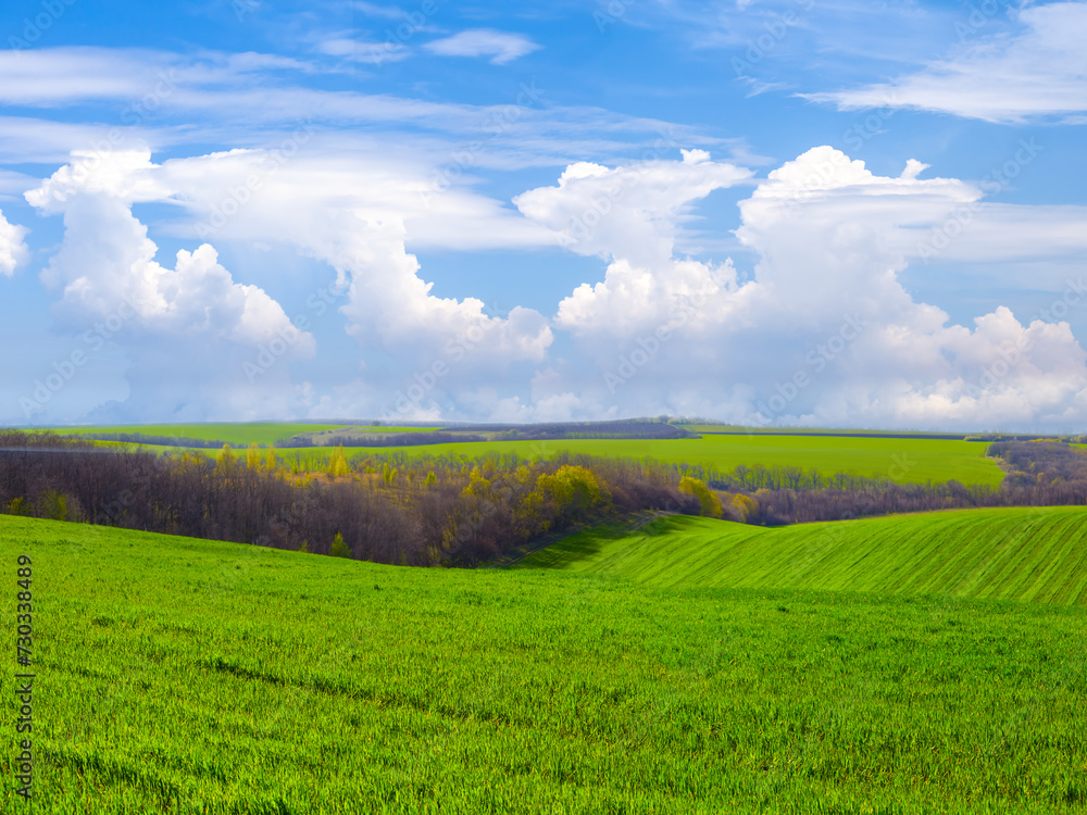 green rural field under blue cloudy sky, spring agricultural background