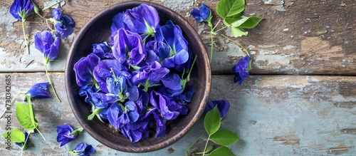 Butterfly Pea, also known as Blue pea or Clitoria ternatea, is a natural and organic plant used for tea, beverages, and cosmetics. photo