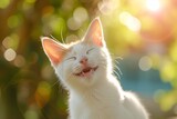 Sweet kitten, brightly smiling with joy. Adorable wallpaper, nature's sweetest backdrop.