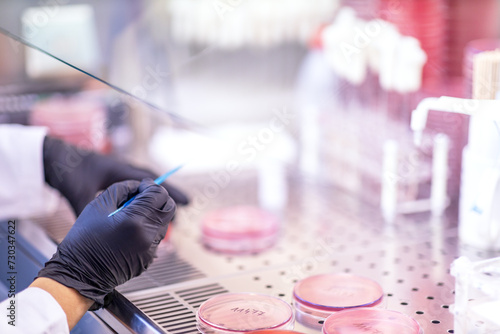 Scientist working with biochemical samples in science chemical laboratory for medicine. Authentic medical research laboratory.