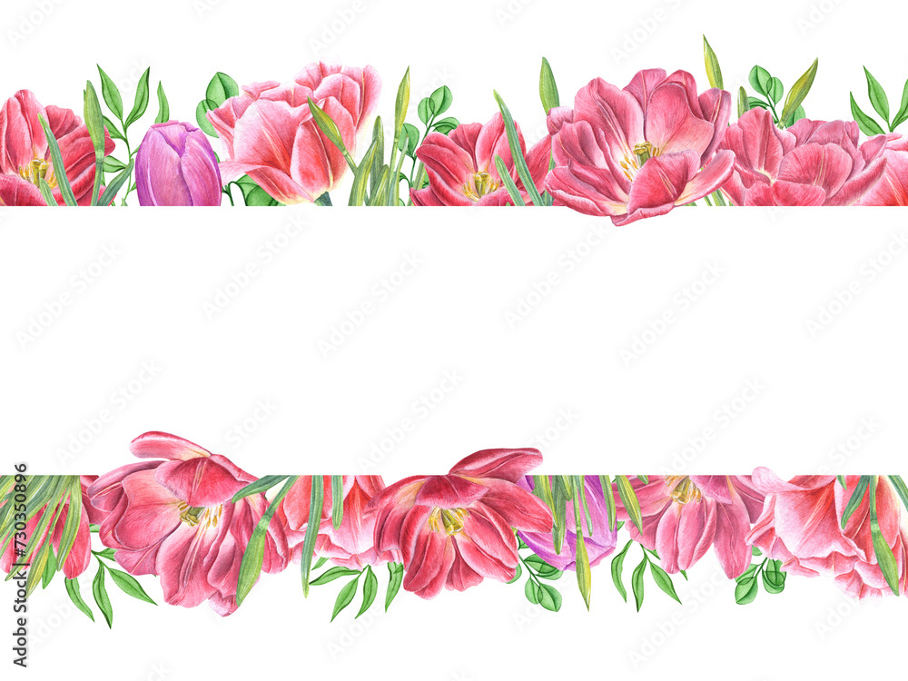 Double pink tulips, daffodil buds with greenery. Horizontal frame with text space. Spring flowers, leaves. Watercolor illustration for invitation, greeting, mother day cards.