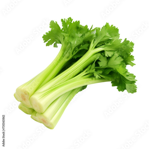 celery isolated on a white background with clipping path. 